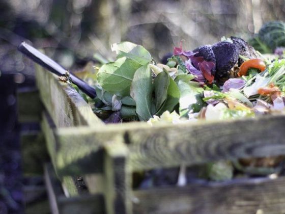 Ekologiczne rozwiązania w domu