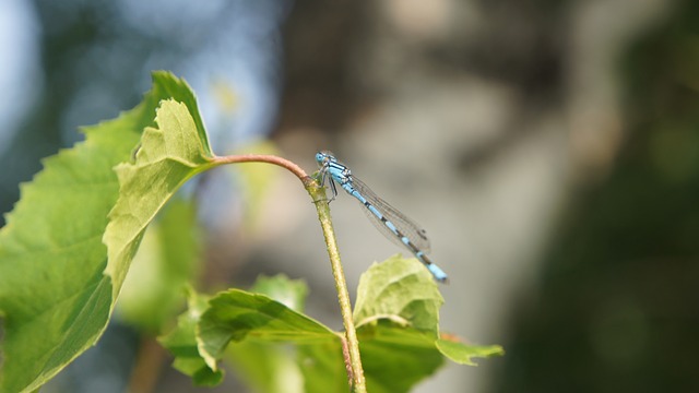 czego uczy nas ekologia