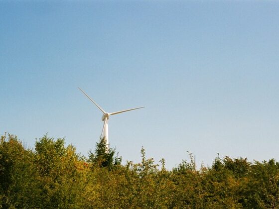 jak zastosować nowe technologie w ekologii