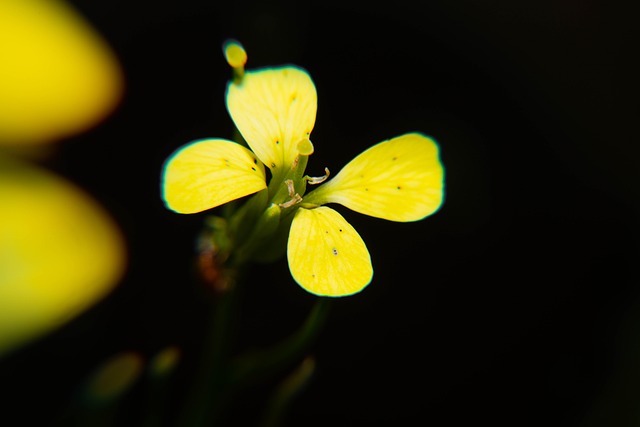 nowe technologie w ekologii