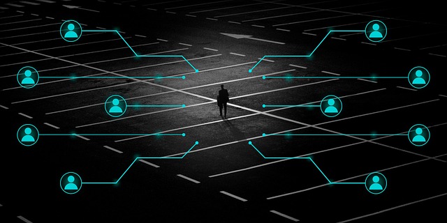 publikować w social mediach