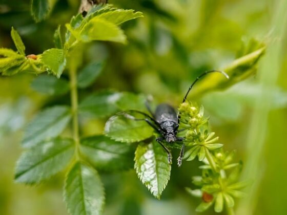 wysoka świadomość ekologiczna